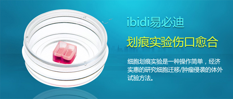德國(guó)IBIDI易必迪
